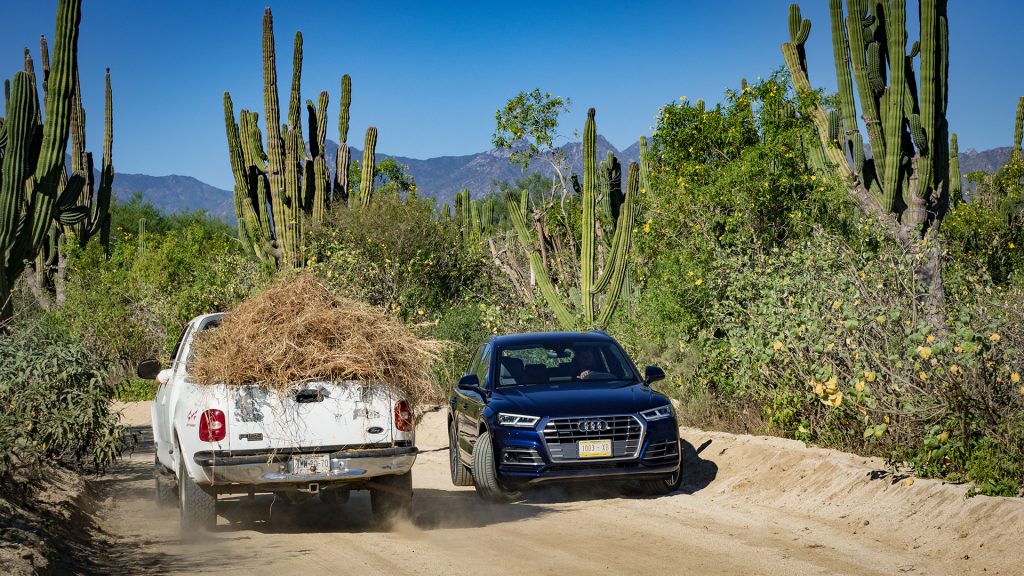 Audi Q5 - Bild:Sandra Schink